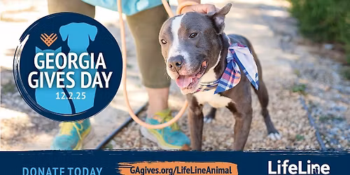 Georgia Gives Day 2025
