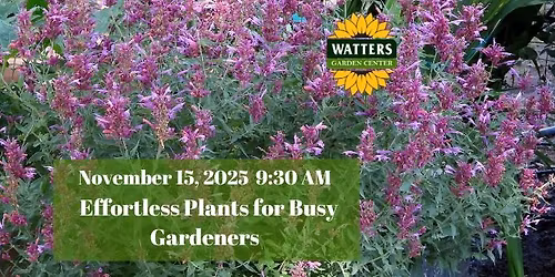 Free Garden Class: Effortless Plants for Busy Gardeners  