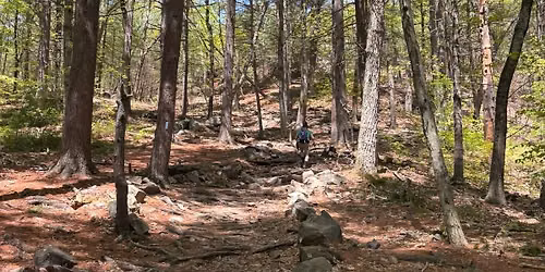 MOTION TRAIL Gathering