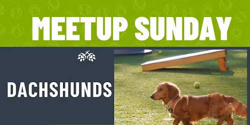 National Dachshund Day Meetup