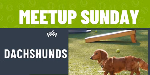 National Dachshund Day Meetup 