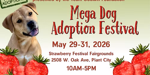 Mega Dog Adoption Festival
