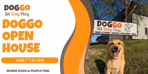 DOGGO Open House