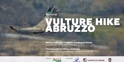 Griffon Vulture & Wildlife Hike at Monte Velino