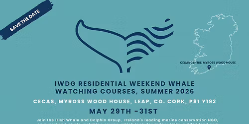 IWDG Residential Weekend Whale Watching Course - West Cork