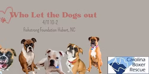 Who let the dogs out 