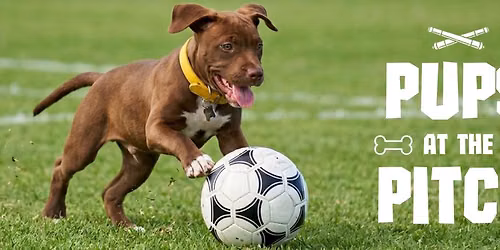Pups on the Pitch