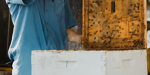 Adventure in Beekeeping (101) Beginners Class | Saturday March 21st