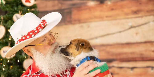 Pictures with Santa Paws at Fortnight Brewing in Cary
