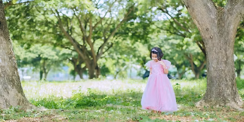 Fairy Picnic 