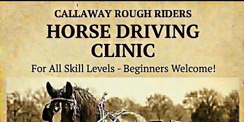 Driving Clinic