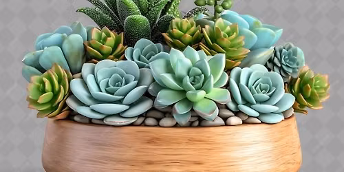 Succulent Garden Workshop