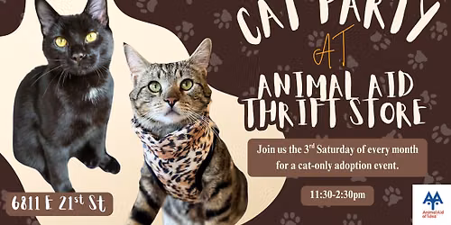 Cat Party at Animal Aid Thrift Store!