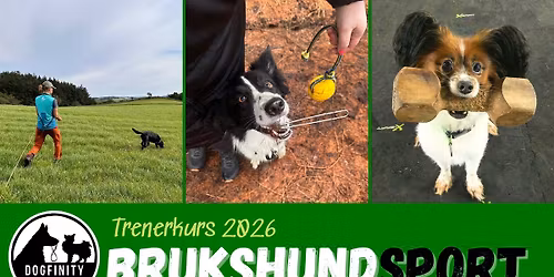 Brukshundsport Trenerkurs (4 helger)