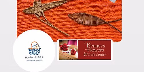 Willow weaving Swifts and Fishes workshop 