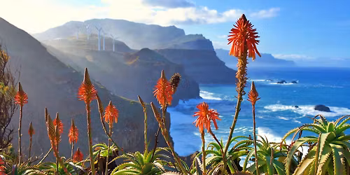  Wielkanoc na Maderze [hotel 4* HB] \ud83c\uddf5\ud83c\uddf9\ud83c\udfdd\ufe0f\ud83d\ude0d