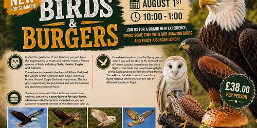 Birds & Burgers