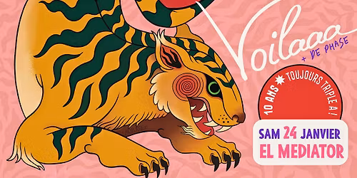 Voilaaa Sound System + De Phase - Afro-Disco - House - sam 24 janvier - El Mediator Perpigan