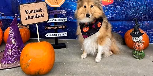 Halloweensk\u00e9 dvojzkou\u0161ky Toulc\u016fv Dv\u016fr + J0