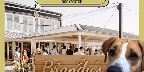 Brandy's Adoption Event