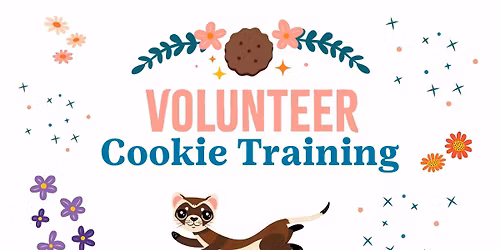 Florence Cookie Training