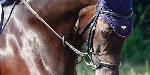 NCRC Open Unaffiliated Dressage Show