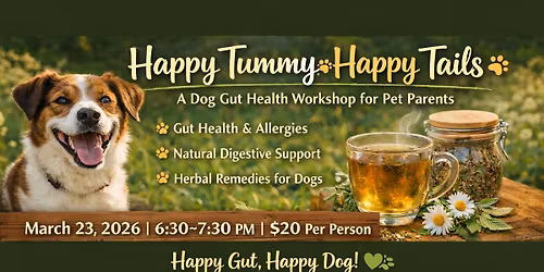 Happy Tummy Happy Tails Workshop