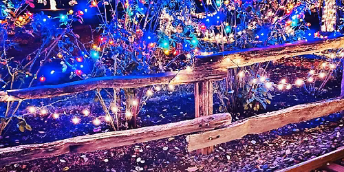 Christmas Night Light Rides at Tennessee Thunder