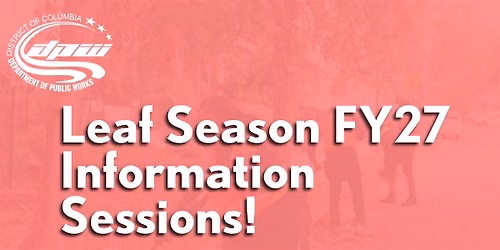 Leaf Season FY27  Information  Sessions! - Wednesday, June 3