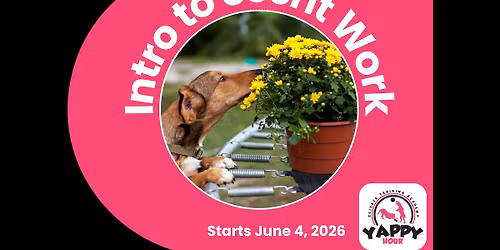 Intro to Scent Work