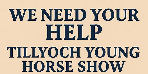 BS Young Horse Show inc Club, Cat 1 & 2