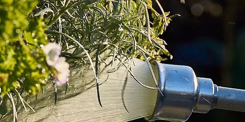 Monthly \u2018How To\u2019 Mornings: How to Feed & Water Your Garden with the Environment in Mind