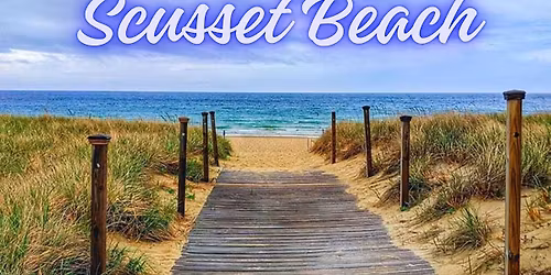 Scusset Beach Project