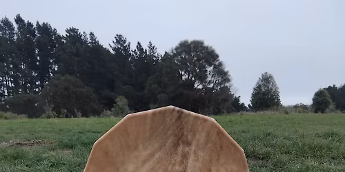 Medicine Drum Workshop Taranaki 