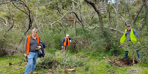 4th Creek Project habitat restoration