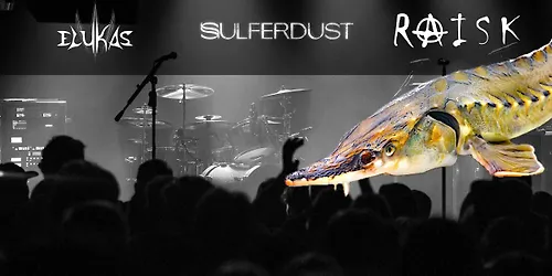 TUUR 20 RAISK ELUKAS SULFERDUST (FIN) RAISK Kidrakuur