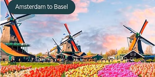 Tulips & Rhine River Cruise