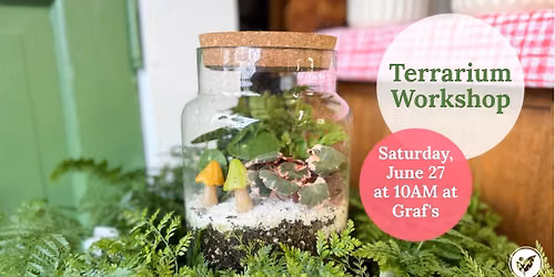 Terrarium Workshop at Graf's