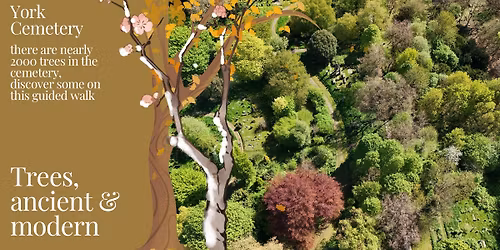 Walk : Trees, ancient & modern