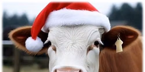 Much Marcle Christmas Fete