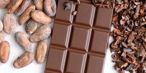 Inside the Cacao Pod: From Fruit to Chocolate