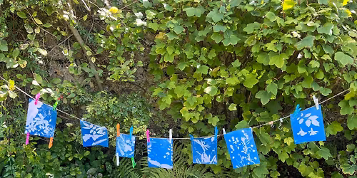 Explore Cyanotype Printing at The Grange