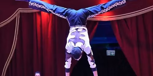 20. N\u00fcrtinger Weihnachtscircus