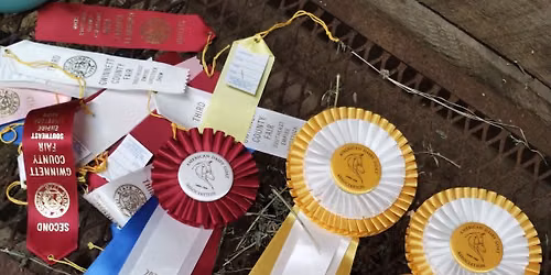 Dogwood Dairy Divas Fall Show