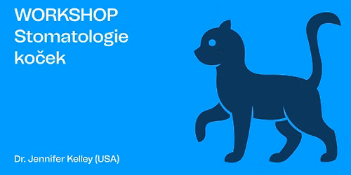 Workshop: Stomatologie ko\u010dek