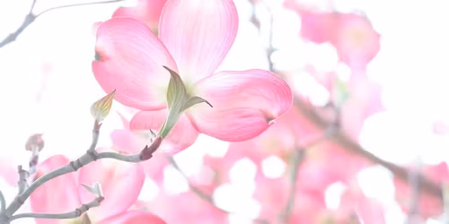 M\u00c1MA A DCERA - spolu a ka\u017ed\u00e1 sv\u00e1