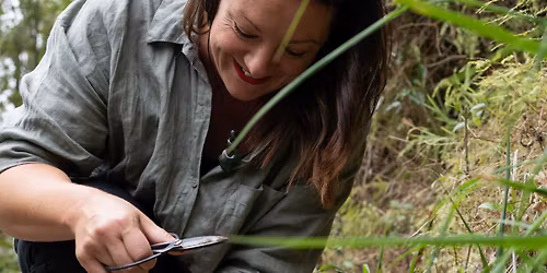 Nature\u2019s Pharmacy: Exploring Medicinal Plants of summer