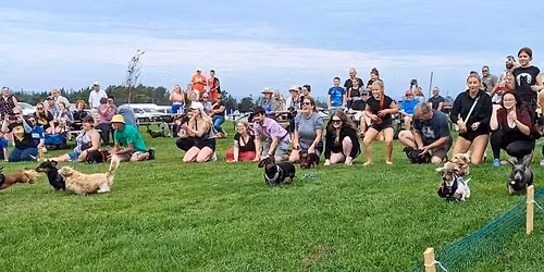 WIENERPAWLOOZA PEI