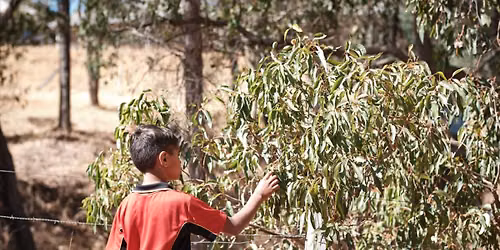 Djidi Djidi Aboriginal Schools 30 Year Celebration