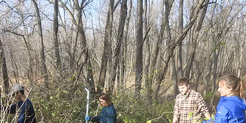 Second Saturday Stewardship